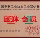 中國(guó)電器工業(yè)協(xié)會(huì)工業(yè)鍋爐分會(huì)團(tuán)體會(huì)員